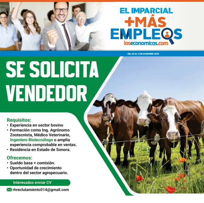Más Empleos