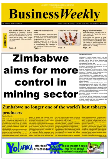 Business Weekly (Zimbabwe) - 13 Jun 2007