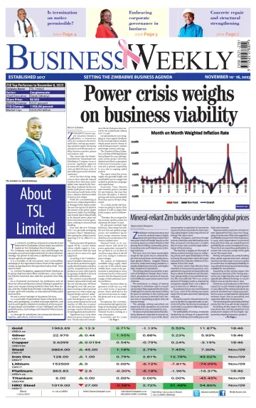 Business Weekly (Zimbabwe) - 10 Nov 2023