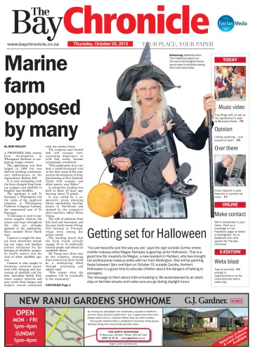 The Bay Chronicle - 25 Oct 2012