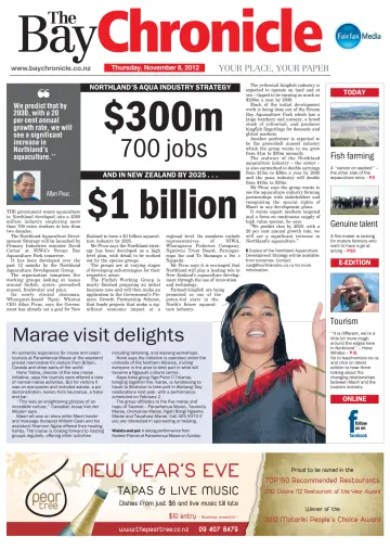 The Bay Chronicle - 8 Nov 2012
