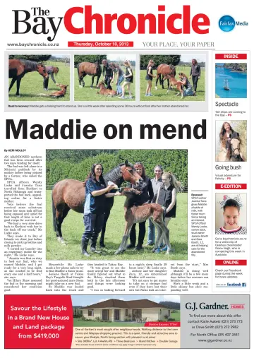 The Bay Chronicle - 10 Oct 2013