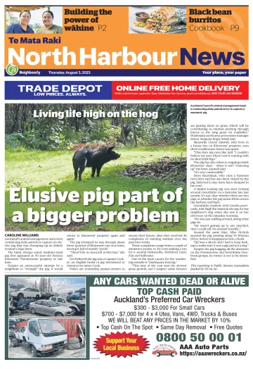 North Harbour News - 3 Aug 2023