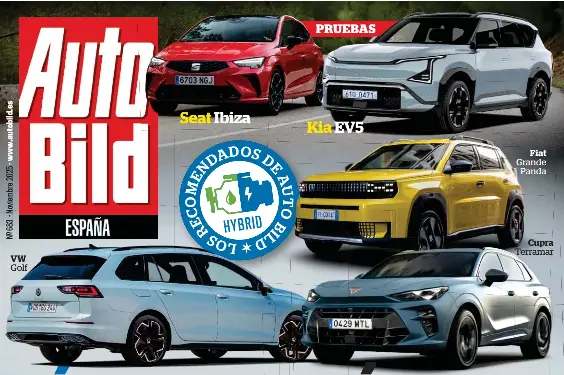 HÍBRIDOS ¿SÍ O NO?