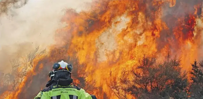 EL GOBIERNO DECLARARÁ ZONAS CATASTRÓFICAS LAS ÁREAS AFECTADAS