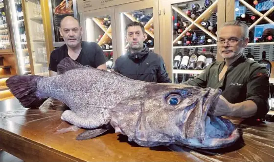 UN MERO DE 54 KILOS EN MATOGRANDE