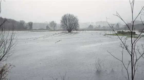 SE VA INGRID Y LLEGA JOSEPH