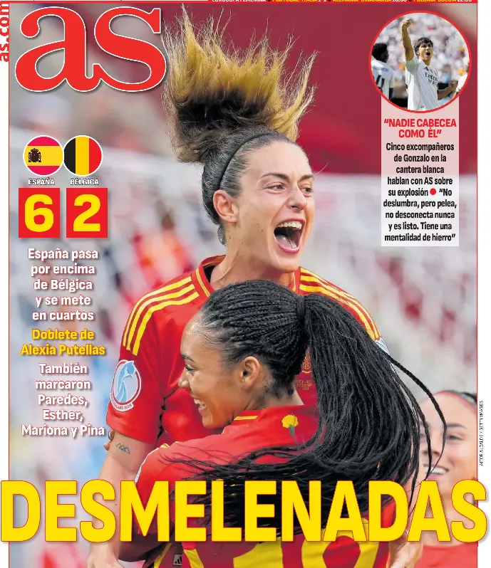 DESMELENADAS