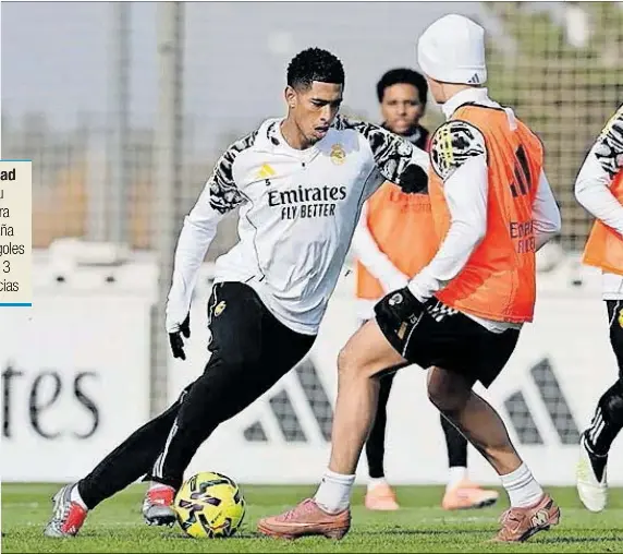 BELLINGHAM MEDIAPUNTA O CENTROCAMPISTA