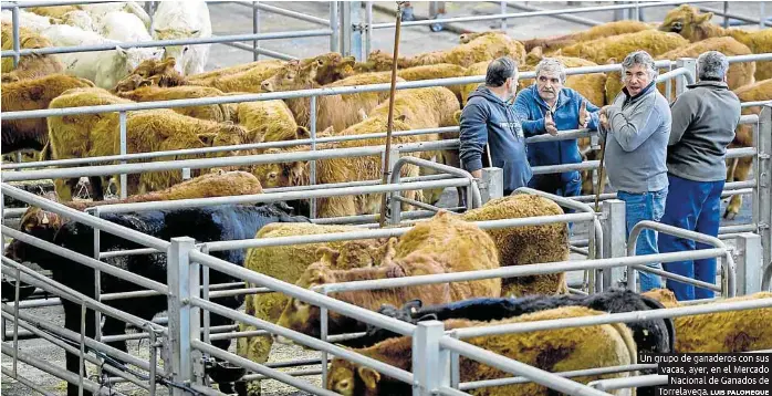 EL FERIAL REABRE DESPUÉS DE 29 DÍAS