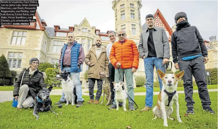 LOS CINCO PERROS DETECTORES DE CÁNCER
