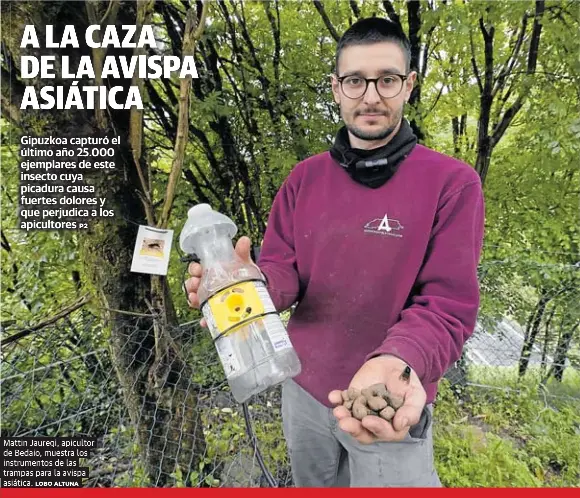 A LA CAZA DE LA AVISPA ASIÁTICA