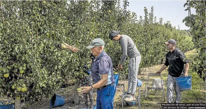 EL TESORO VERDE BUSCA SU RÉCORD