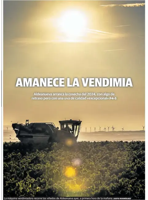 AMANECE LA VENDIMIA