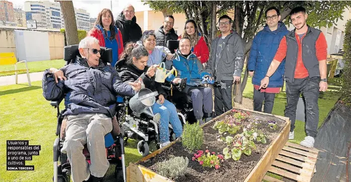 UN HUERTO QUE ES UNA TERAPIA