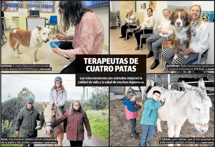 TERAPEUTAS DE CUATRO PATAS