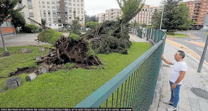LA DANA SE CEBA EN EL VIÑEDO