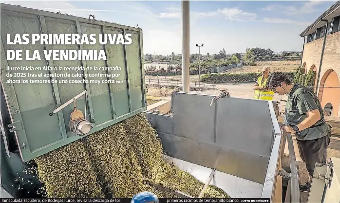 LAS PRIMERAS UVAS DE LA VENDIMIA