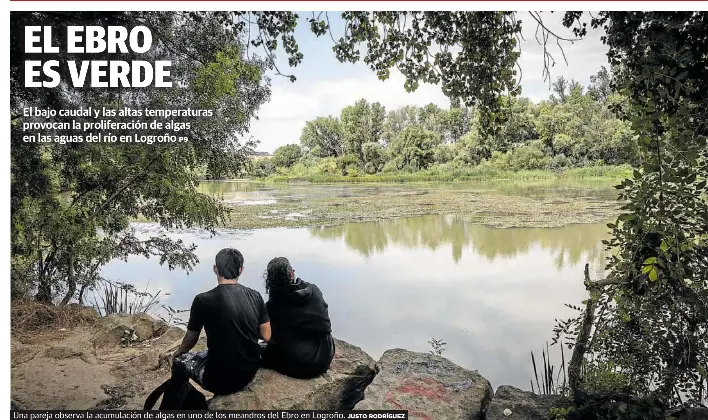 EL EBRO ES VERDE