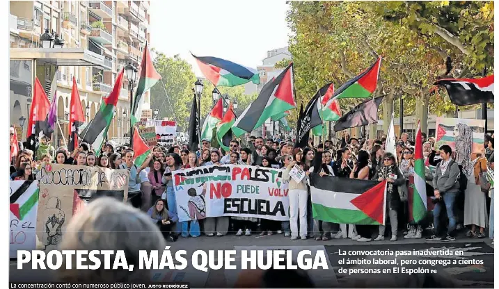 PROTESTA, MÁS QUE HUELGA