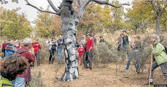 EL ARTE REBROTA EN EL BOSQUE DE SAN ROMÁN