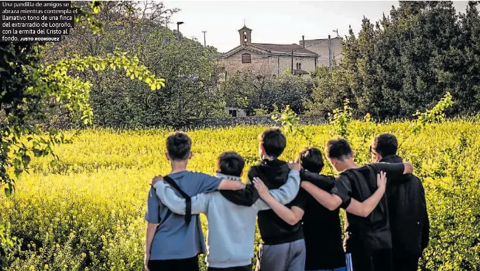 LA MODESTA EXPLOSIÓN DEL AMARILLO