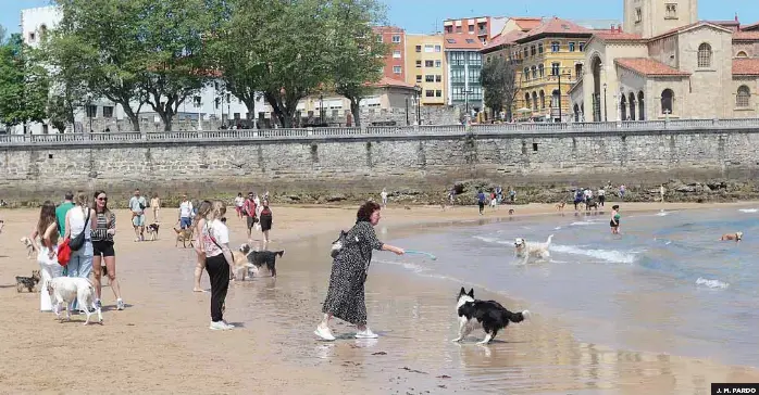LOS PERROS SE DESPIDEN DE SAN LORENZO