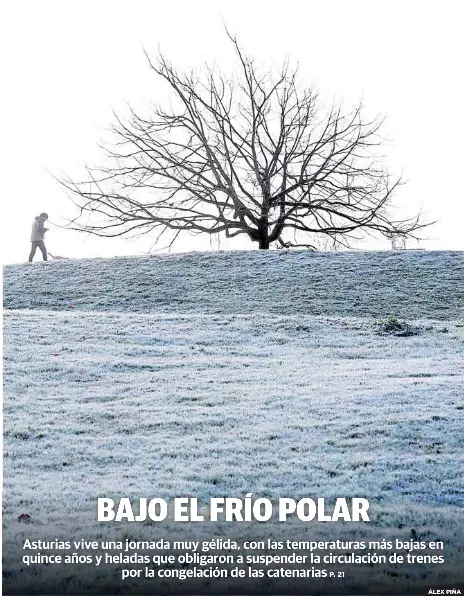 BAJO EL FRÍO POLAR
