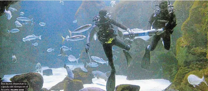 DESEOS BAJO AL AGUA PARA LOS GIJONESES DEL FUTURO