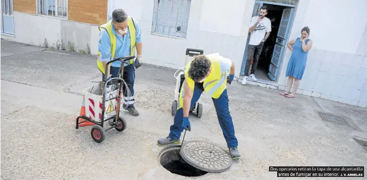 GUERRA ABIERTA A LAS CUCARACHAS EN BADAJOZ