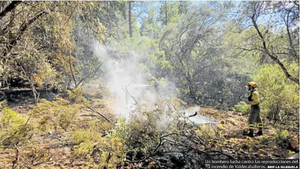 UN INCENDIO INTENCIONADO LLEVA LA ALARMA A VALDECABALLEROS