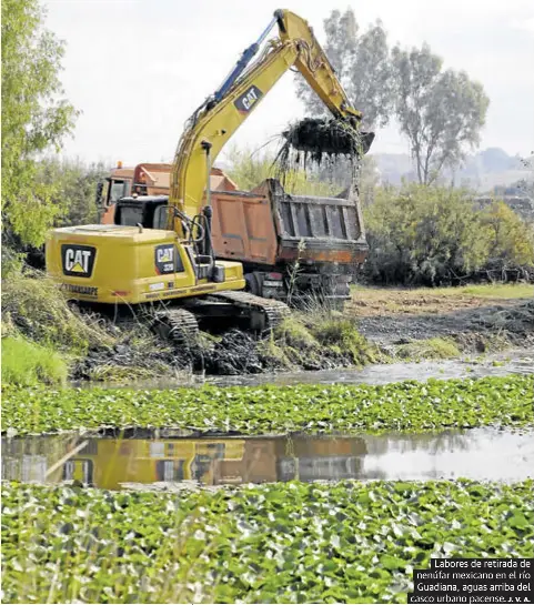 COMIENZA LA RETIRADA DEL NENÚFAR