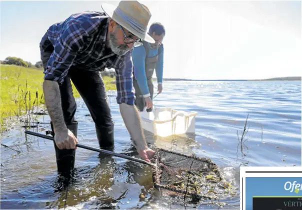 PECES PARA REPOBLAR LA PRESA DE ALCOLLARÍN