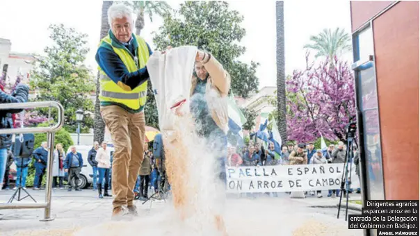 LOS ARROCEROS PROTESTAN CONTRA SU «COMPETENCIA DESLEAL»
