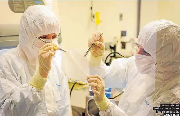 LA PIEL QUE NACE EN EL LABORATORIO