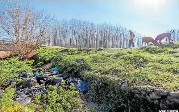 RESTOS DE MARIHUANA JUNTO AL RÍO GENIL