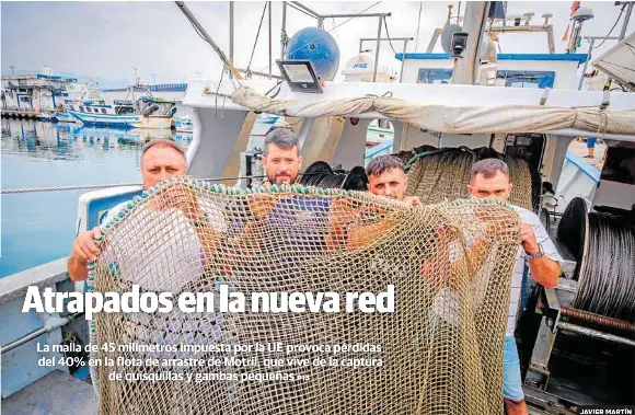 ATRAPADOS EN LA NUEVA RED