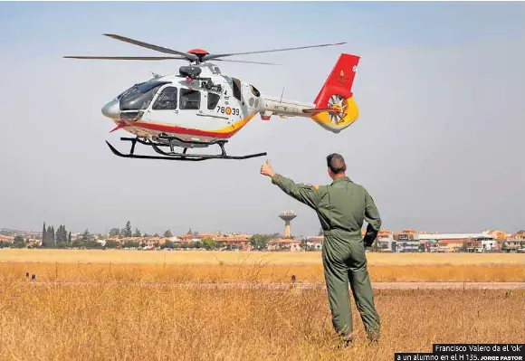 NUEVOS HALCONES EN ARMILLA