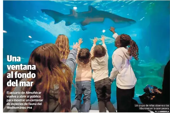 UNA VENTANA AL FONDO DEL MAR