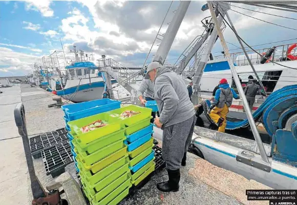 LA VUELTA A LA FAENA, ENTRE CAÑAS
