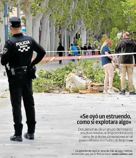 «SE OYÓ UN ESTRUENDO, COMO SI EXPLOTARA ALGO»