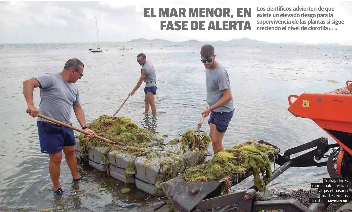 EL MAR MENOR, EN FASE DE ALERTA