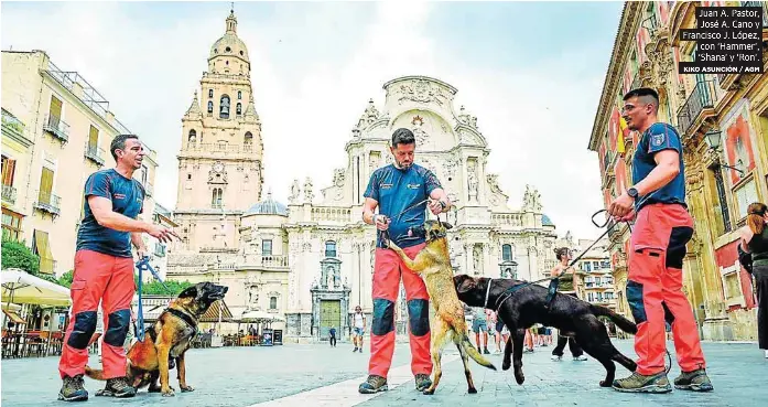 PATRULLA CANINA PARA LOS BOMBEROS