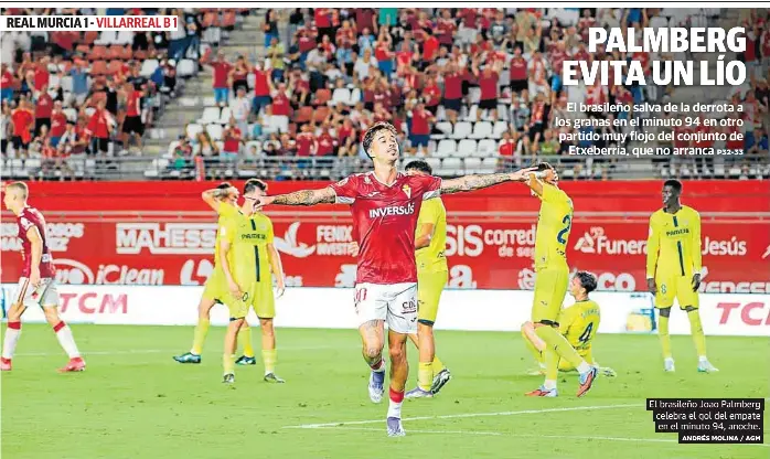 PALMBERG EVITA UN LÍO