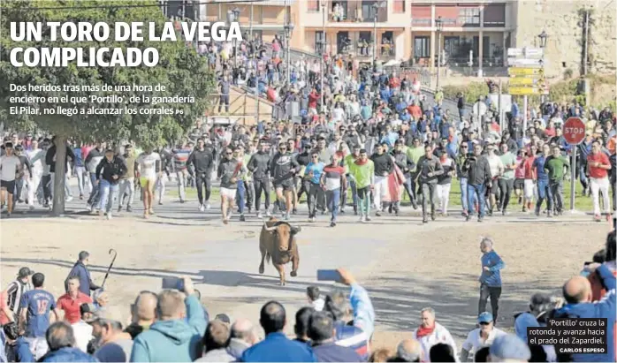 UN TORO DE LA VEGA COMPLICADO