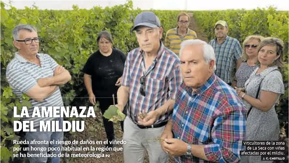 LA AMENAZA DEL MILDIU