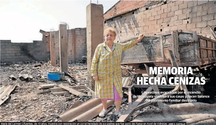 MEMORIA HECHA CENIZAS