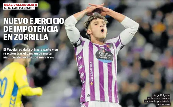 NUEVO EJERCICIO DE IMPOTENCIA EN ZORRILLA