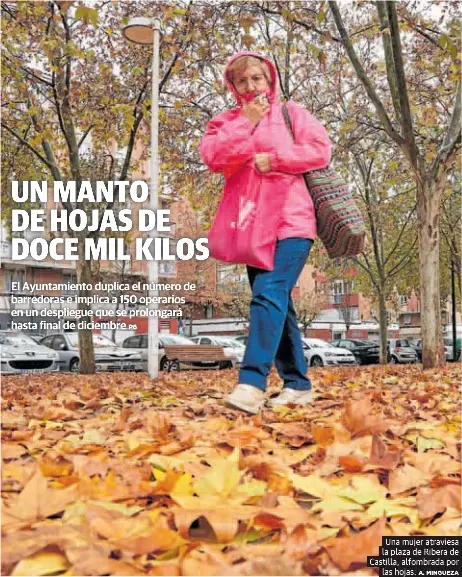 UN MANTO DE HOJAS DE DOCE MIL KILOS