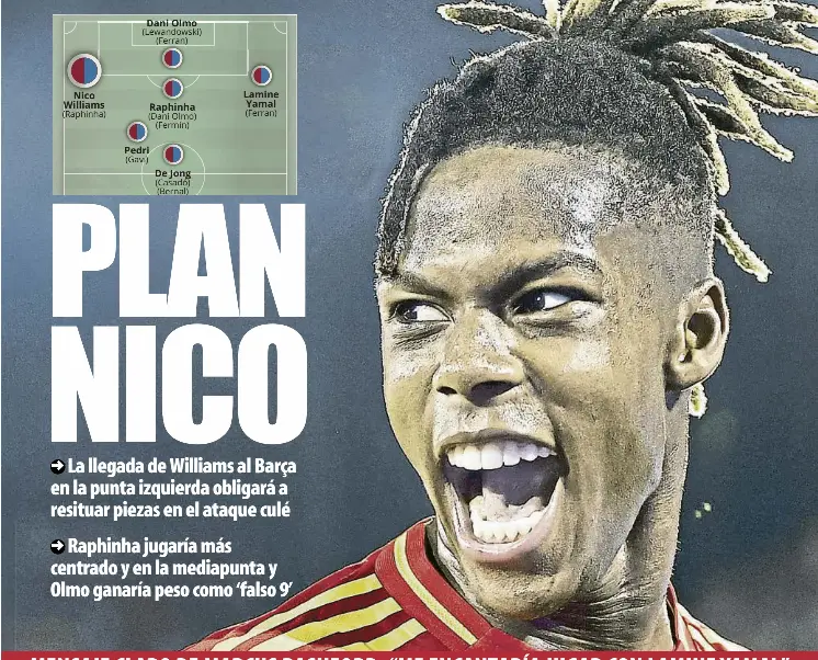PLAN NICO